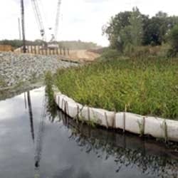 1655262639550 Americanexcelsior 1655262639550 Americanexcelsior