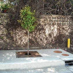 1655262642177 Contech 5