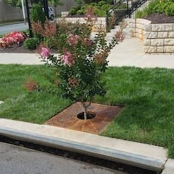 1655262643871 Filterra2 Cropped 1655262643871 Filterra2 Cropped