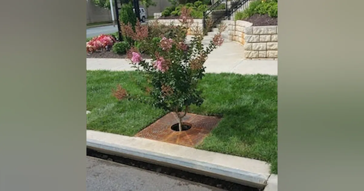 Filterra Filterra Bioretention | Stormwater Solutions