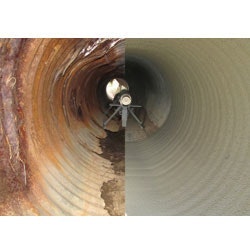 1655262644343 Unnamed 0