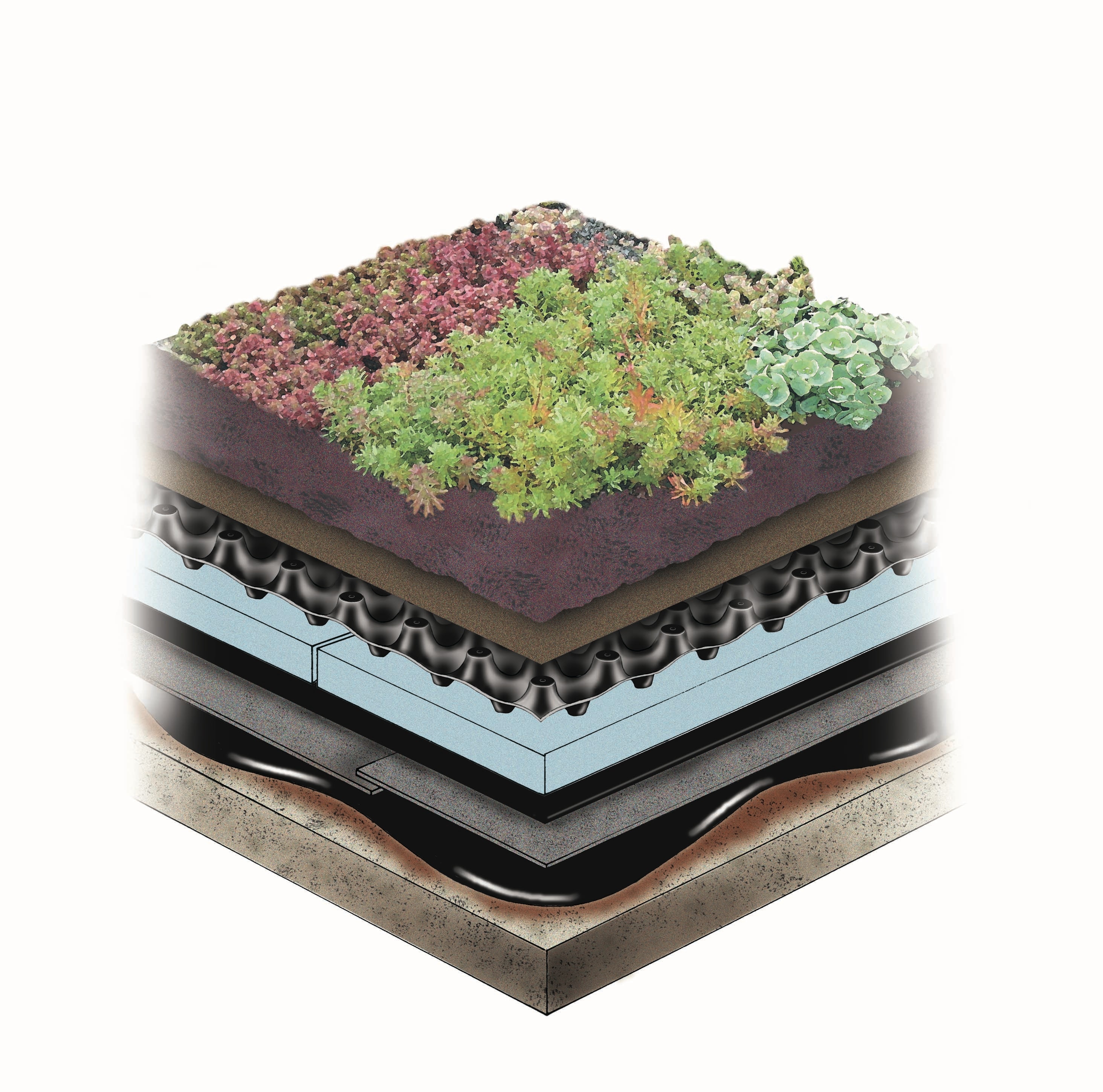 1655262646759 Extensive With Dow Final