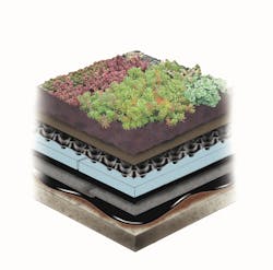 1655262646759 Extensive With Dow Final 1655262646759 Extensive With Dow Final