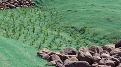 1655262650785-aecphoto 1655262650785-aecphoto