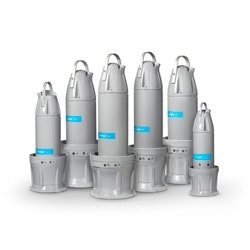 1655262655859-may_xylem