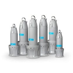 1655262655859 May Xylem 1655262655859 May Xylem