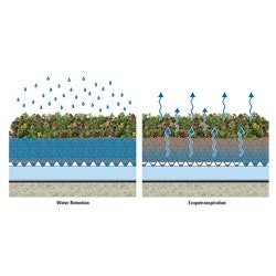 1655262658503 American Hydrotech Ps Garden Roof