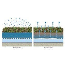 1655262658503 American Hydrotech Ps Garden Roof 1655262658503 American Hydrotech Ps Garden Roof