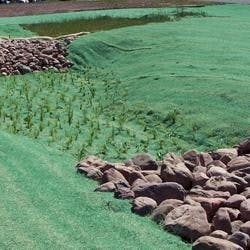 1655262659529 Aecphoto 0 1655262659529 Aecphoto 0