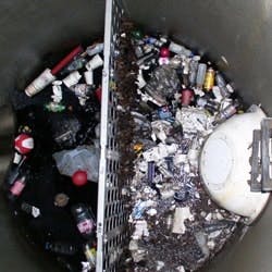 1655262661991 Saflwithsnout2hiressq 1655262661991 Saflwithsnout2hiressq