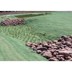 1655262665176 American Excelsion Ps Erosion 1655262665176 American Excelsion Ps Erosion