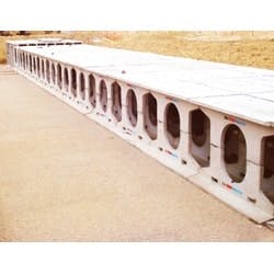 1655262665319 Stormtrap Ps Doubletrap 1655262665319 Stormtrap Ps Doubletrap