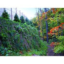 1655262668065 Presto Ps Walls 1655262668065 Presto Ps Walls