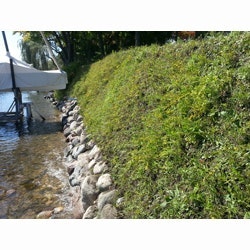 1655262669280-envirolok_mm