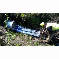 1655262672374 Dungeness Ps Chitovan 1655262672374 Dungeness Ps Chitovan