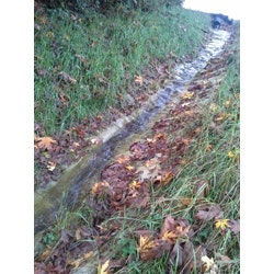 1655262678631 Milliken Ps Concrete Cloth 2