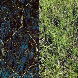 1655262684235-maccaferrigeosyntheticmat073117