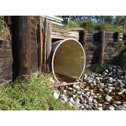 1655262684672-inlinerpiperenewal073117