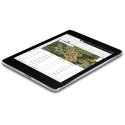 1655262685967-cbidatamanagement082517