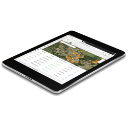 1655262685967 Cbidatamanagement082517 1655262685967 Cbidatamanagement082517