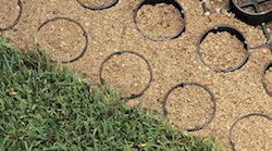 1655262697678-grasscrosssectionsquare