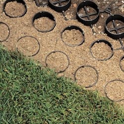 1655262697678 Grasscrosssectionsquare 1655262697678 Grasscrosssectionsquare