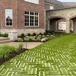 1655262698152-33538065208_454966ba53_q