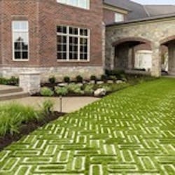 1655262698152 33538065208 454966ba53 Q 1655262698152 33538065208 454966ba53 Q