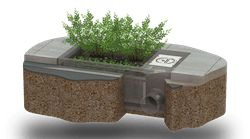 1655262703299-biopodhero823x7801 1655262703299-biopodhero823x7801