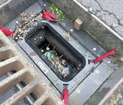 1655263353156 Native Content 1 1655263353156 Native Content 1