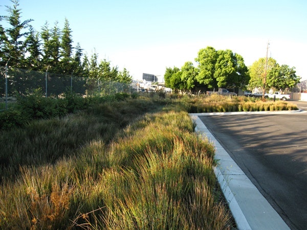 1655268005417 Bioswale 0