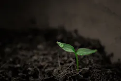 1655268485673 Soil Stabilization