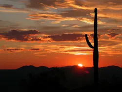 1655268487853 Phoenix Desert