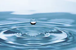 1655268505423 Water