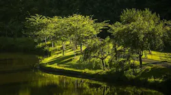 1655268512781-virginia_water