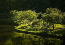 1655268512781 Virginia Water 1655268512781 Virginia Water