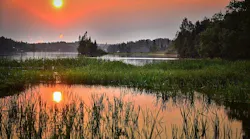 1655268547217-wetlands