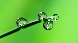 1655268551518 Waterdrops 1655268551518 Waterdrops