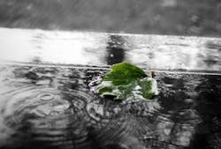 1655268569092 Greengd521e0fa7 1920 1655268569092 Greengd521e0fa7 1920