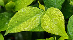 1655268571175-greeninfrastructure