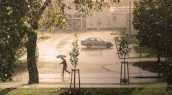 1655268576595-mang565a9798d_1920 1655268576595-mang565a9798d_1920