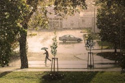 1655268576595 Mang565a9798d 1920 1655268576595 Mang565a9798d 1920