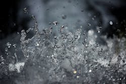 1655268589212 Nutrientpollution 1655268589212 Nutrientpollution