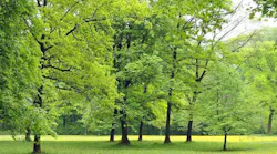 1655268589389-environmentalprotectionagency