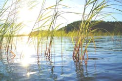 1655268591560 Lakeg14e925184 1920 1655268591560 Lakeg14e925184 1920