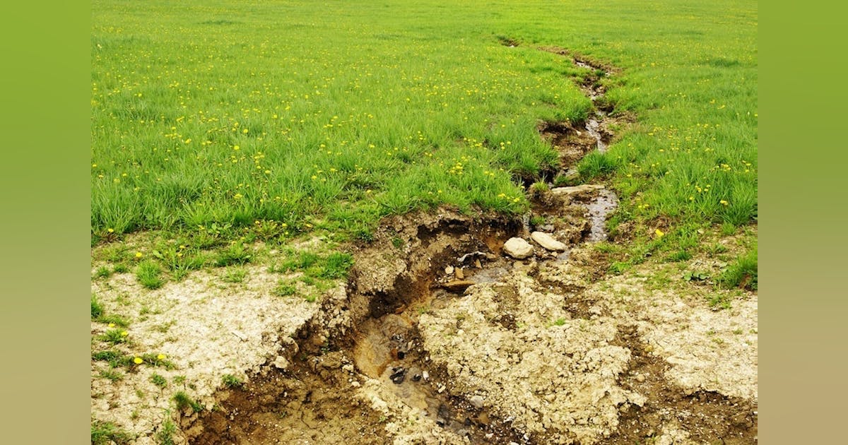 Silt Fences