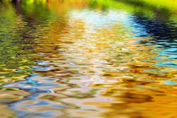 1656357556144 Dreamstime S 50458613 1656357556144 Dreamstime S 50458613