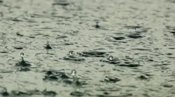 1656357565217-stormwater_35