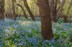 1656357571087 Stormwatermanagement 6