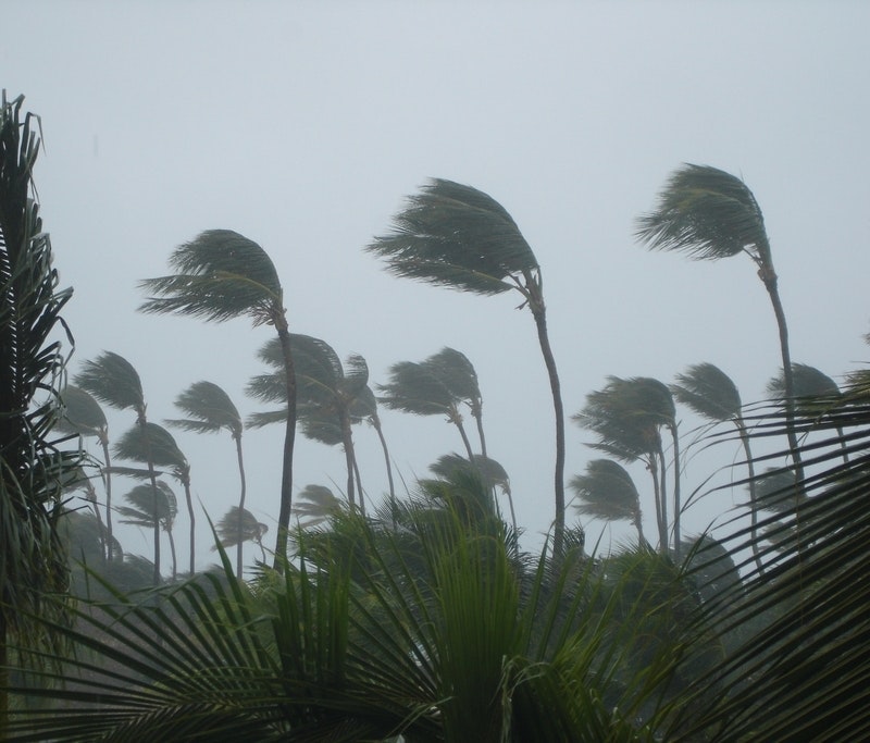 1656357571654 Tropicalstorm 1